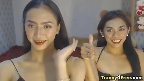 Asian shemale gets double cock blowjob and fucked hard